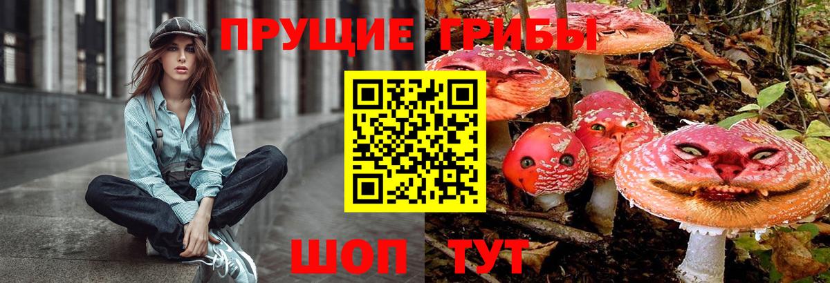 Семёнов  Галлюциногенные грибы Psilocybe  Вход с VPN  Псилоцибиновые грибы MAGIC MUSHROOMS 