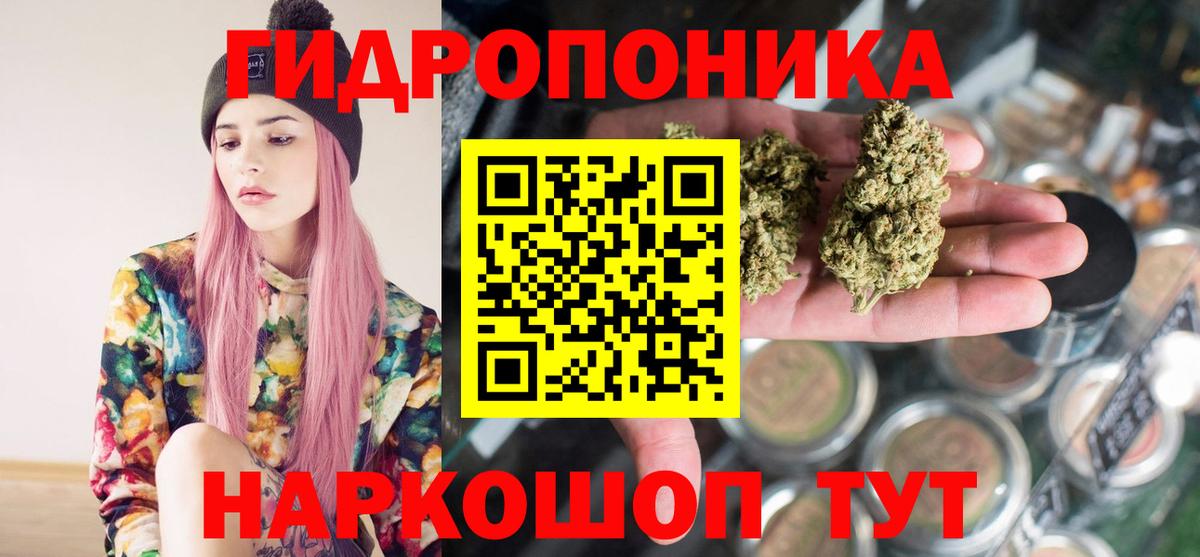 Канабис SATIVA & INDICA  Марихуана OG Kush  Бошки марихуана семена  Бошки Шишки OG Kush  Вход с VPN  Семёнов 